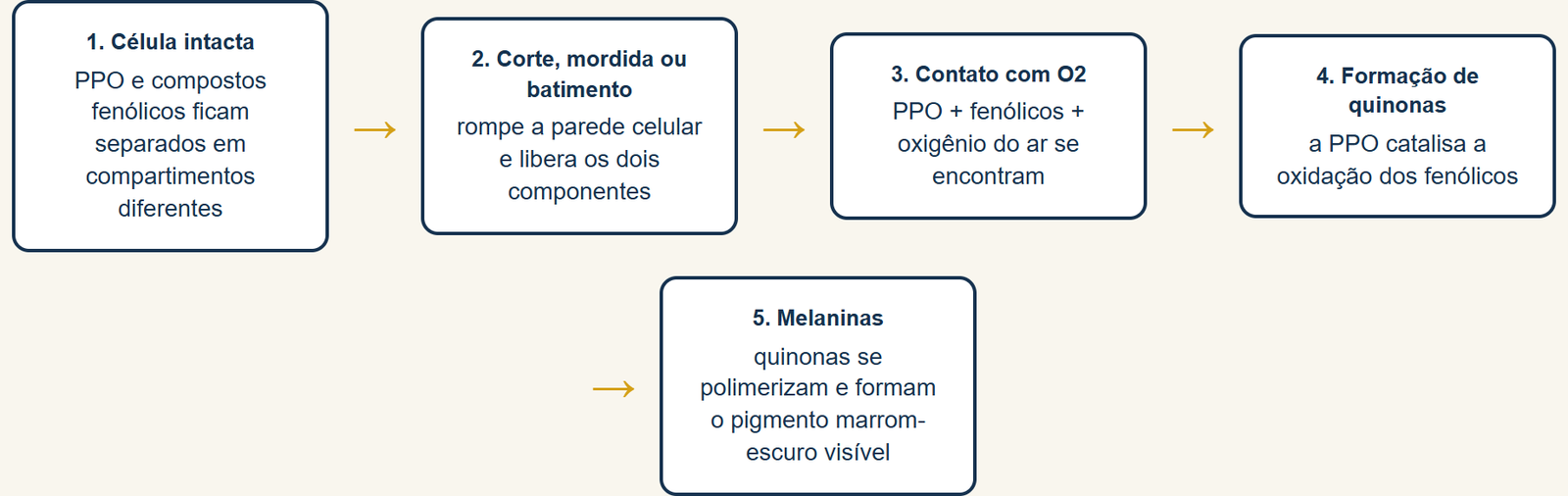 por que a fruta escurece depois de cortada