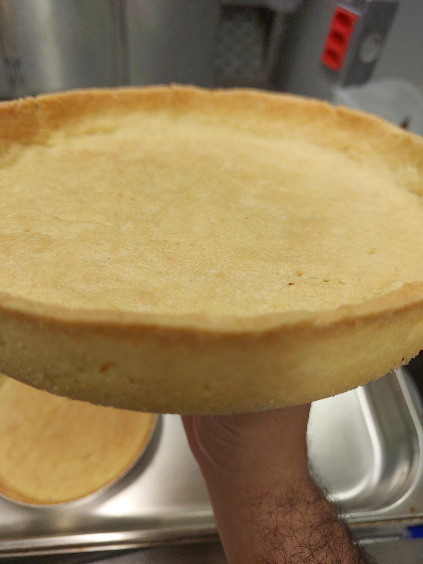 base assada segurada na mão, espessura e rigidez da placa visíveis de perfil (substituto aproximado: massa de tarte assada, não base de biscoito triturado)