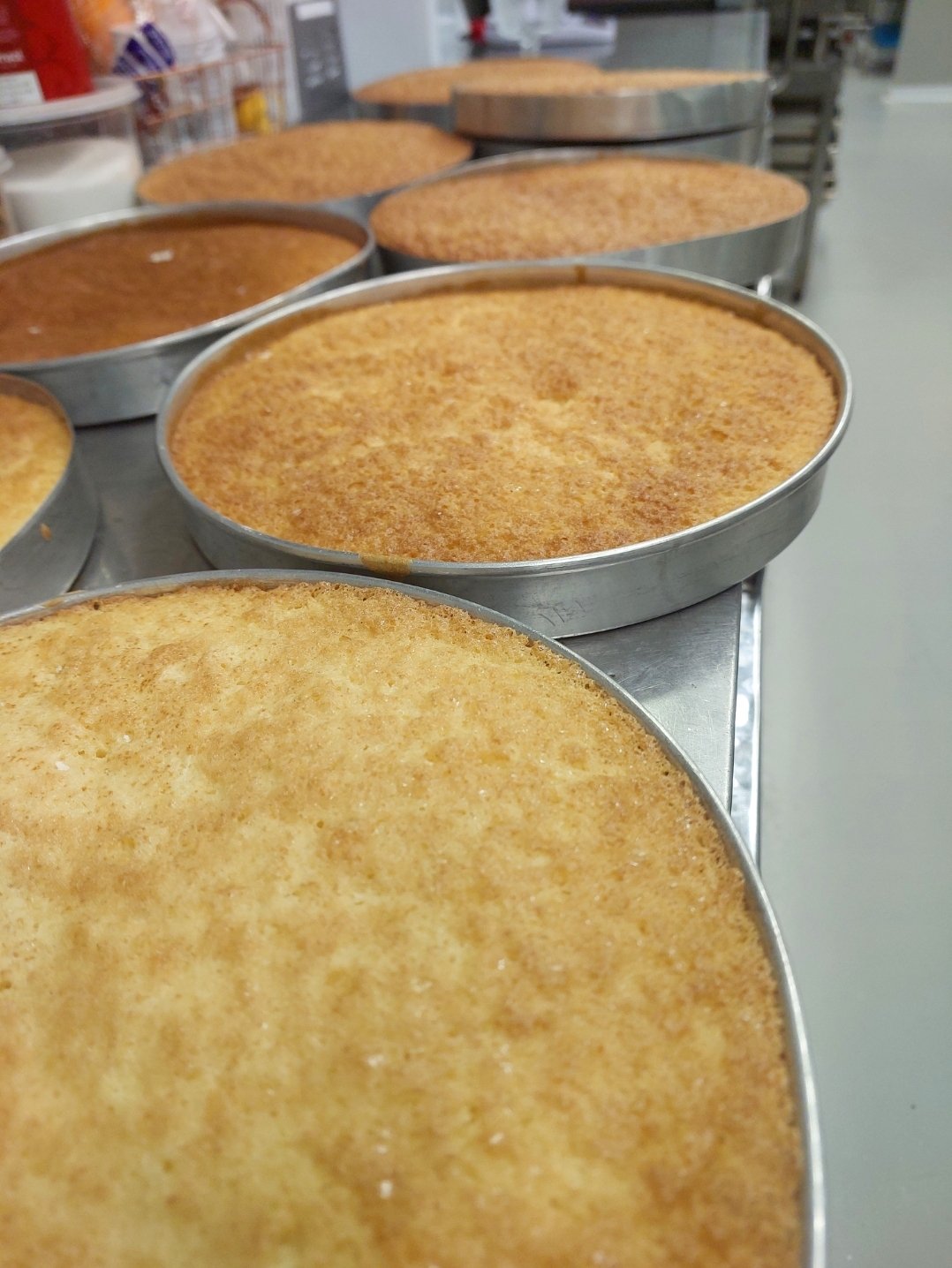 Bolos chiffon recém-saídos do forno, ainda nas formas: massas aeradas cuja estrutura de bolhas só se fixa no esfriamento